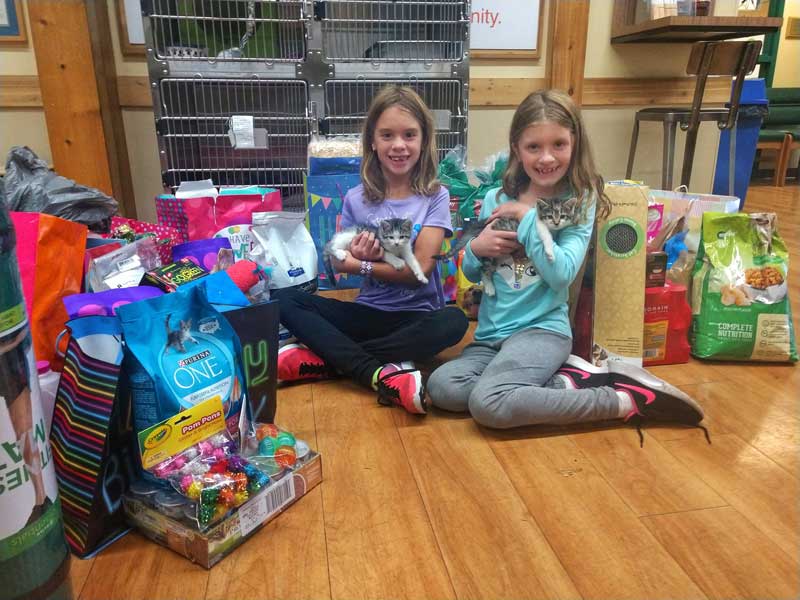 kids, kittens and donations