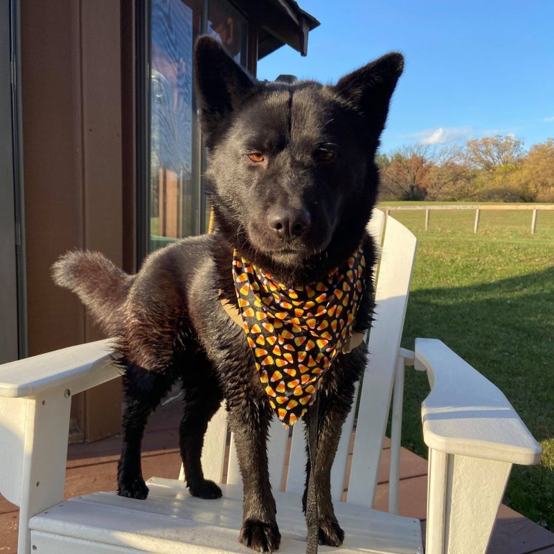 147867287_860816218073421_6582365408814853624_n