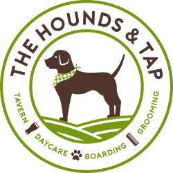 1500 the hounds and tap