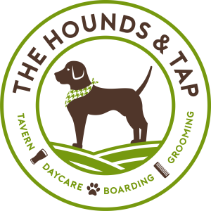 1500 the hounds and tap