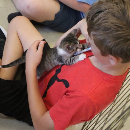 24AnimalScience_10-14