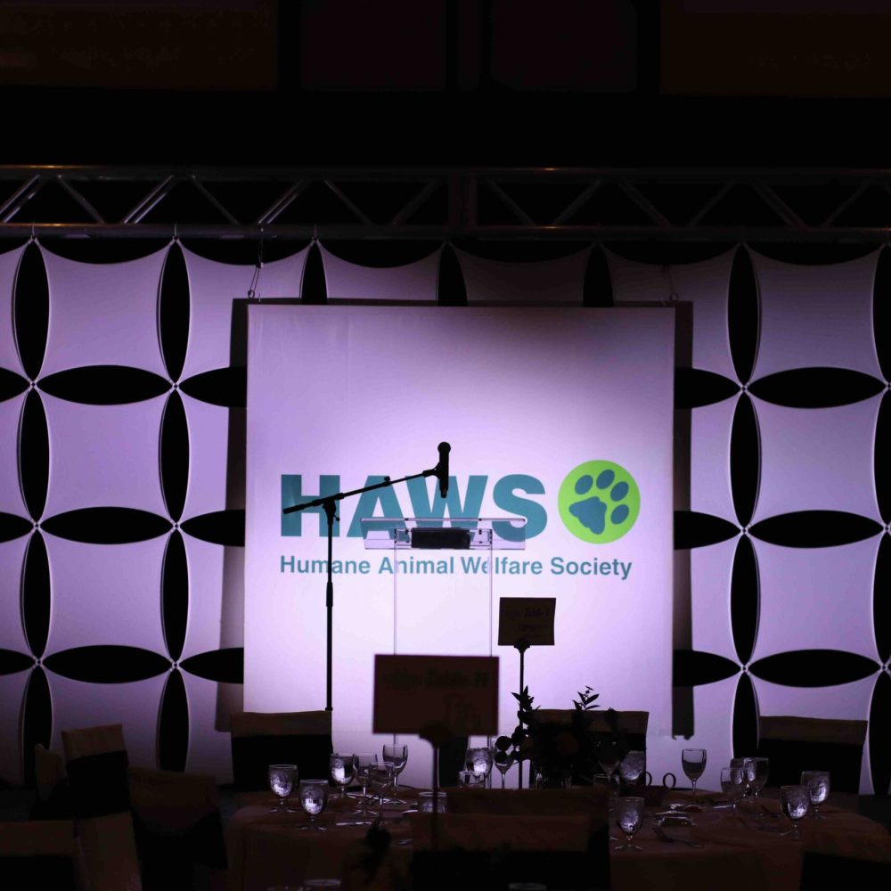 HAWS Backdrop