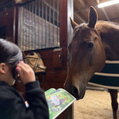 Horse Powered Reading