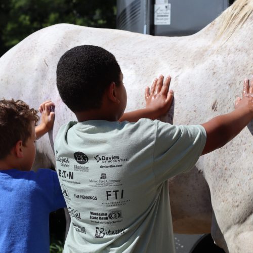 Large Animal Vet Camp