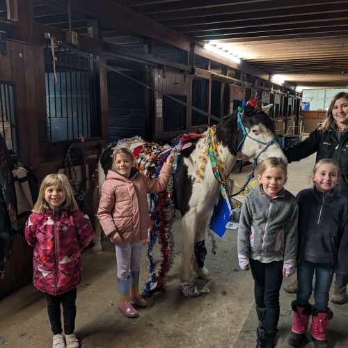 PXL_20240325_161444676.MP