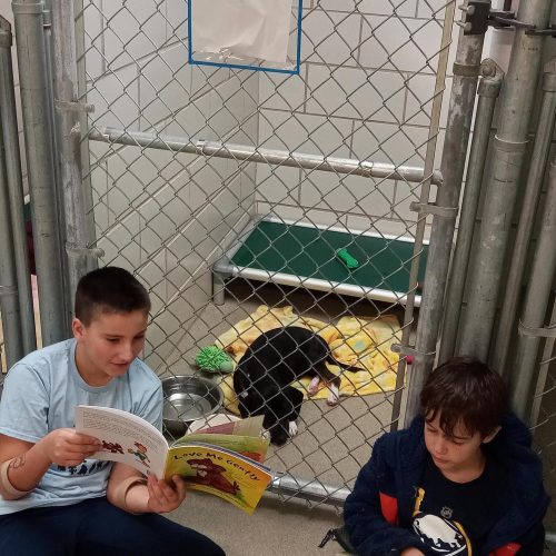 readers to the rescue - FULL
