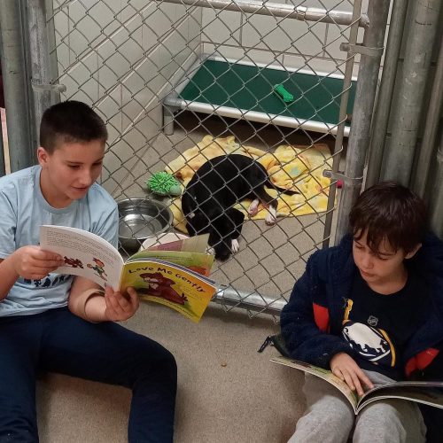 readers to the rescue